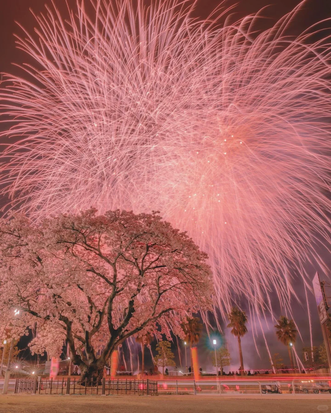 🇯🇵 Tokyo Travel Exclusive Small Group Tour ‼️ One-Day Itinerary Collection 🌟 Daily Departures