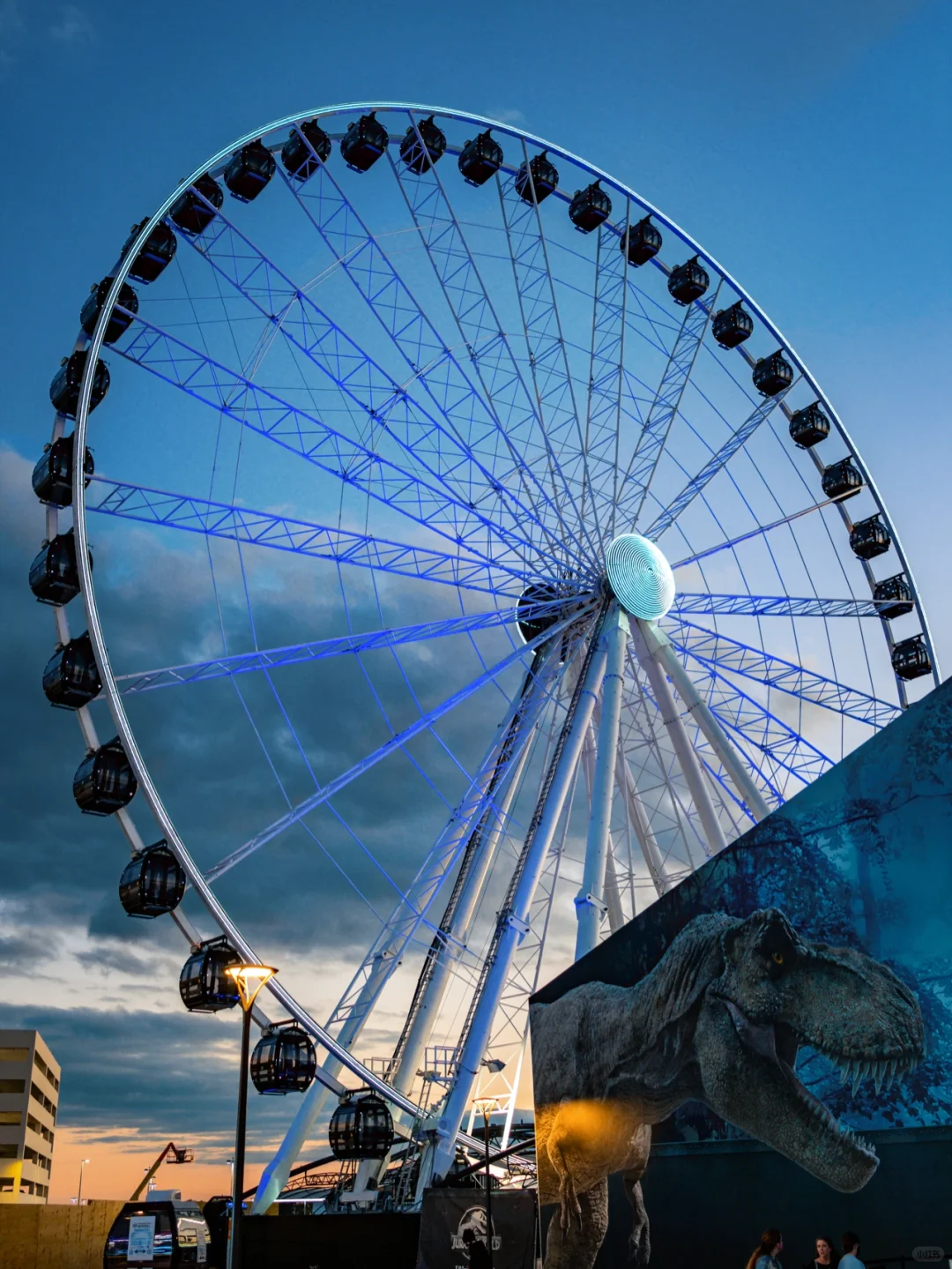 Dallas: Night Views Under the Ferris Wheel 🎡