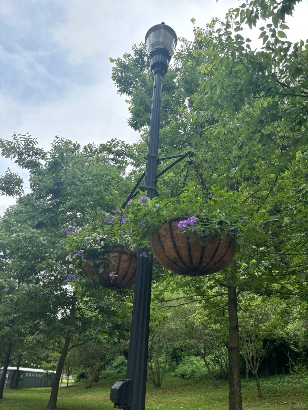 White Plains hiking trail