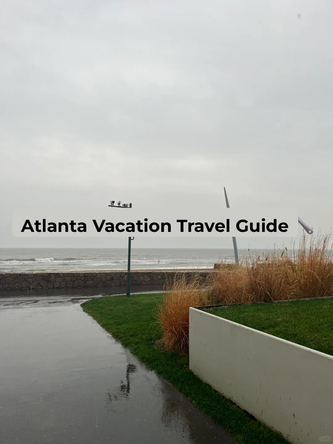 "Encounter the Lonely Tree | Atlanta Travel Itinerary 🌟"