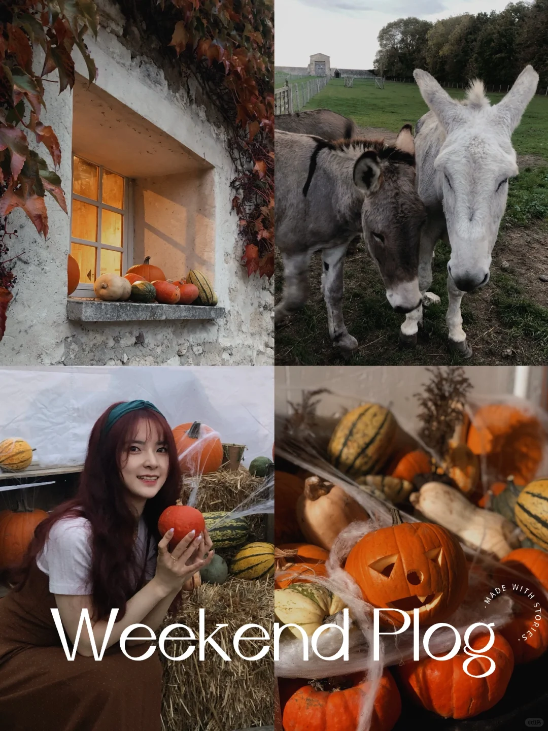 Paris Life | Weekend Plog 🎃 Halloween Pumpkin Patch