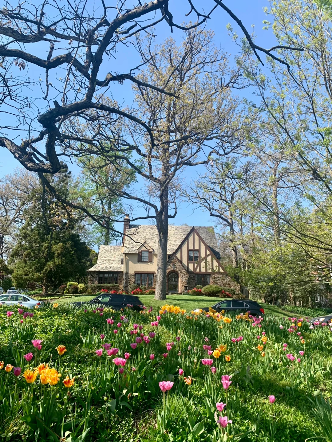 Hurry before it's too late... it's breathtakingly beautiful!