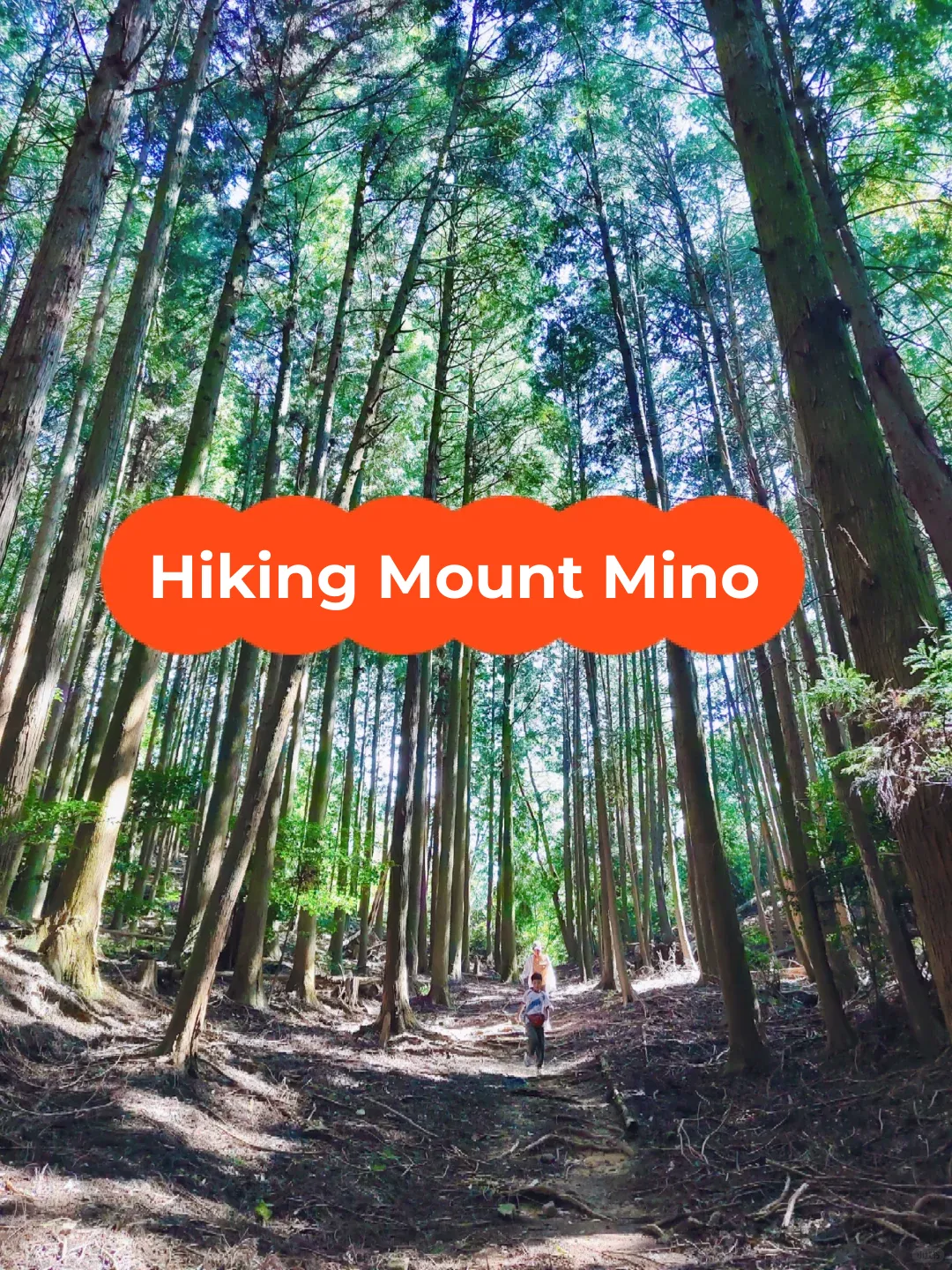 October 6, 2024: A Recap of Our Hike in Mount Inō's Wilderness