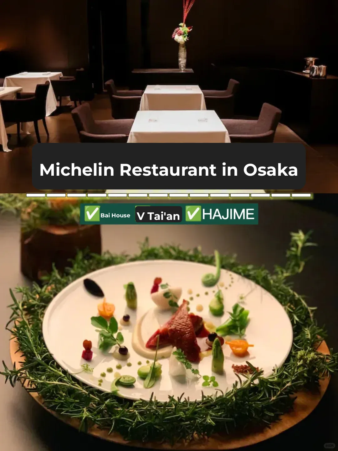 Osaka Michelin-Starred Restaurant Picks | Don't Miss These Three!