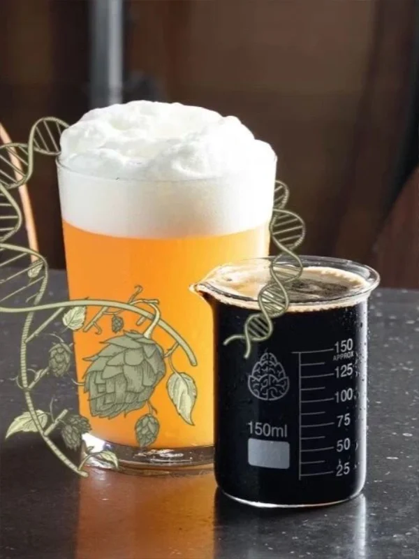 New Beer Preview｜Brain-Buzzing "Nao Hua'r" IPA Series Rolling Out on Tap