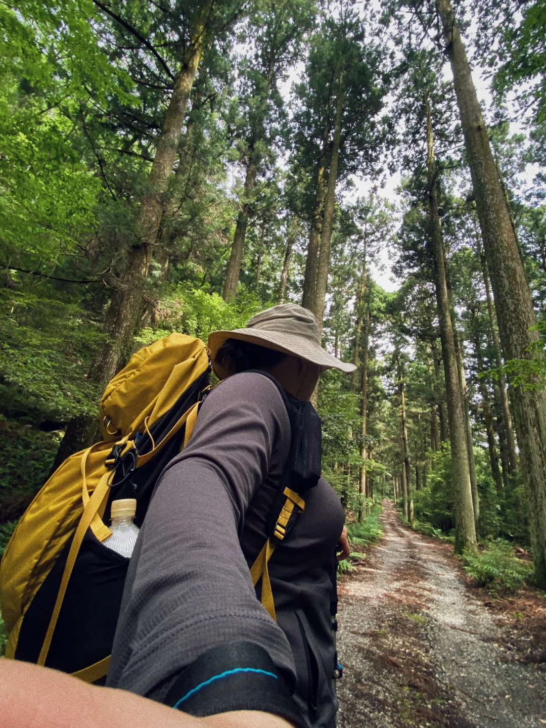 Day Trip to Tokyo / Refreshing Hiking on the Izu Odoriko Trail / Part 2