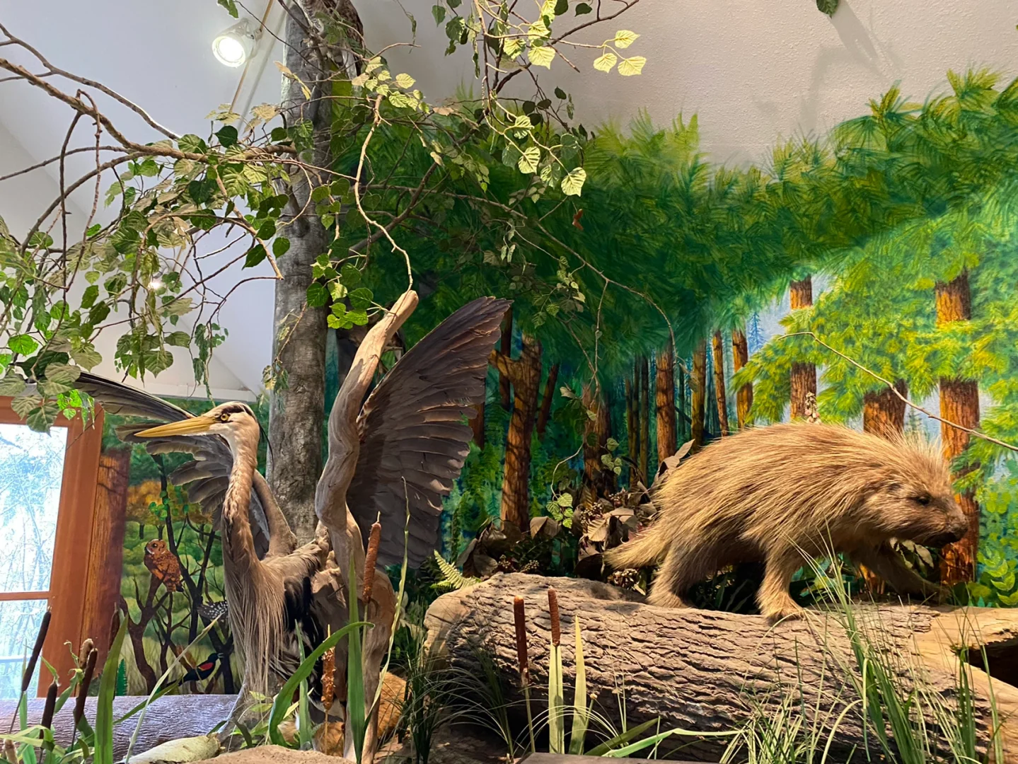 Top Spring Outing Spot for Families at Tacoma Nature Center 1