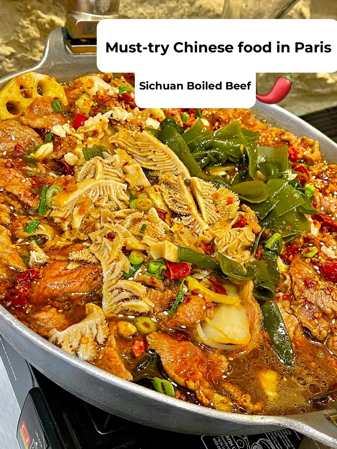 Paris Eats 🇫🇷｜Delicious and Insanely Affordable Chinese Food‼️