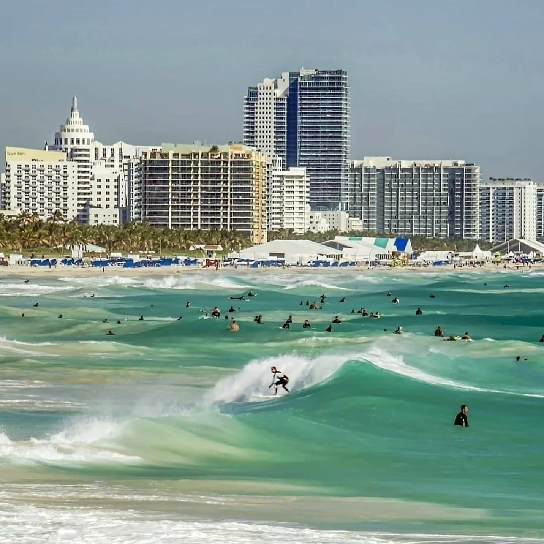 Must-Read Before You Go to Miami | Your Ultimate Guide is Ready, Check It Out!