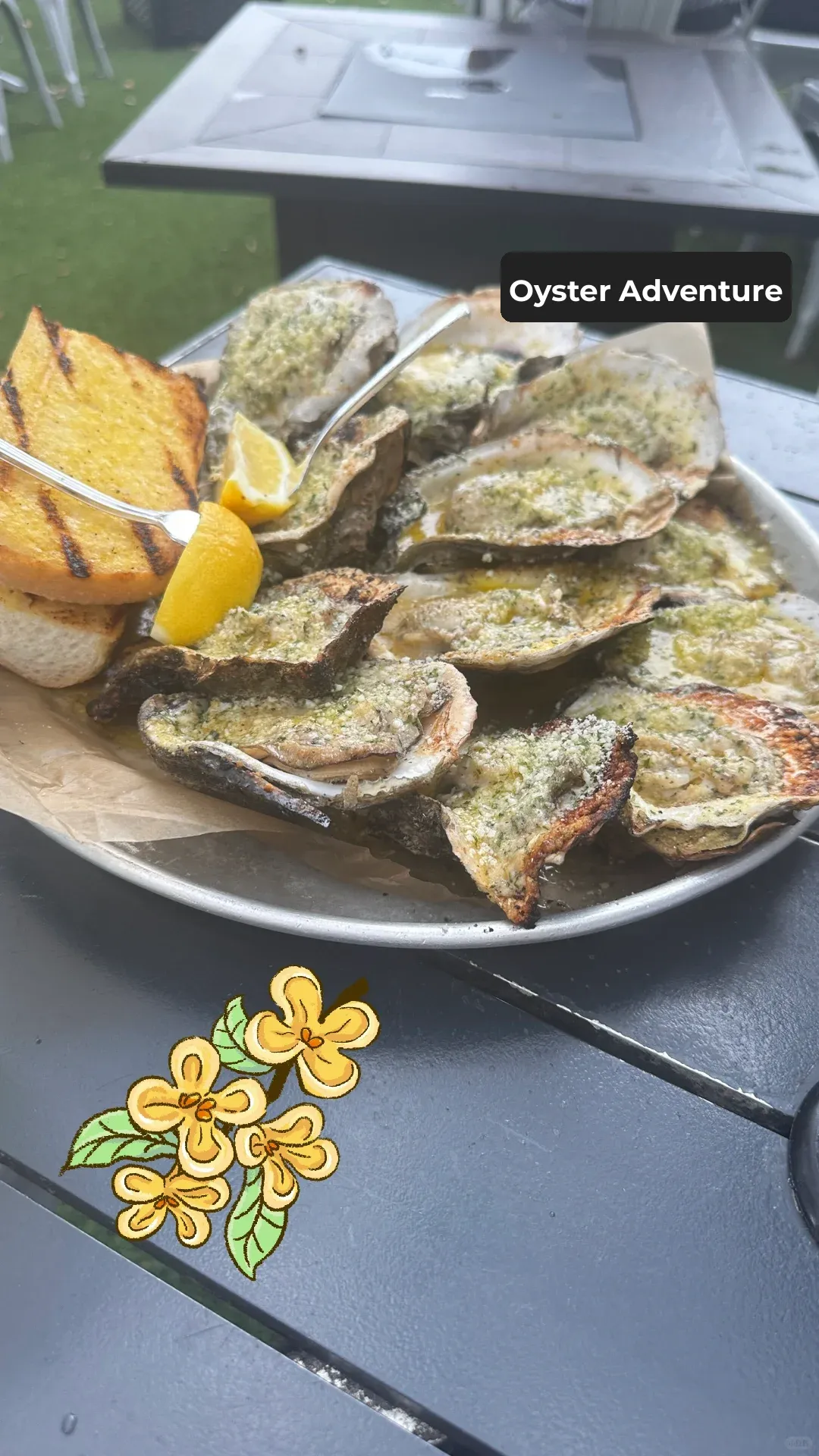 Panama City Beach 🏖️ Destin | Oyster Tasting Adventure