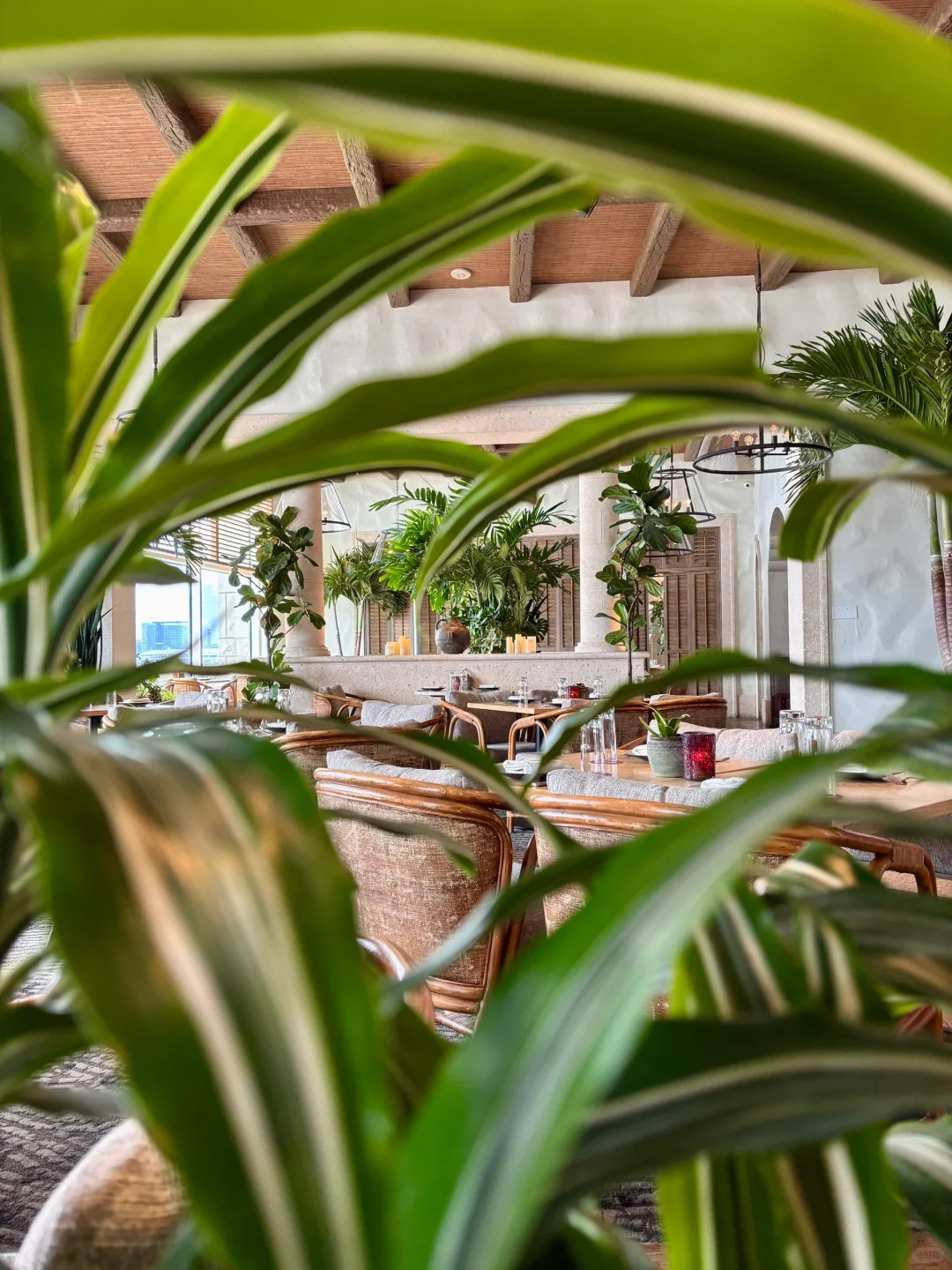 JHU Business School is So Lucky—Surrounded by Gorgeous Wineries!