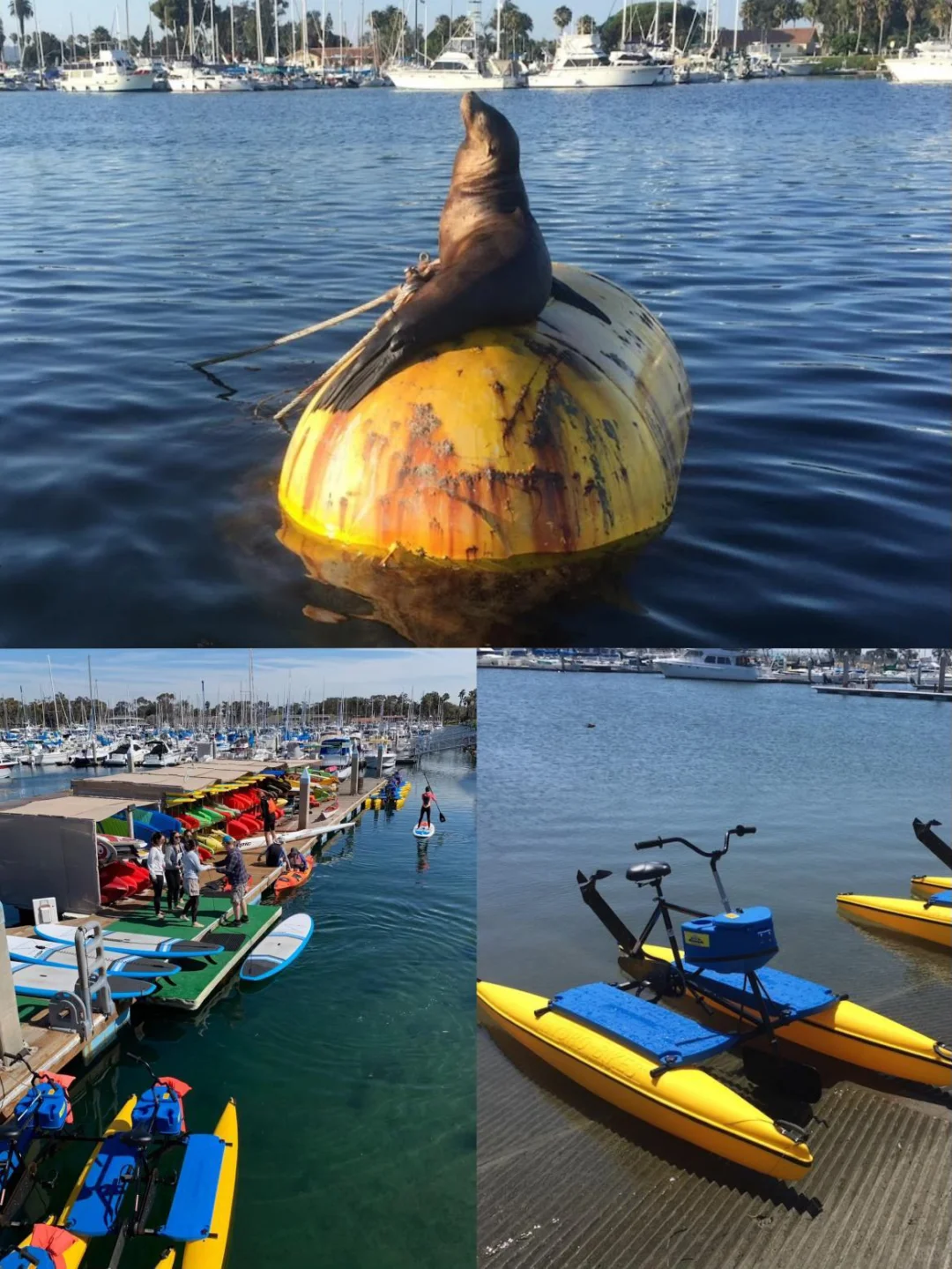 Not Visiting San Diego in Summer? What a Mistake!