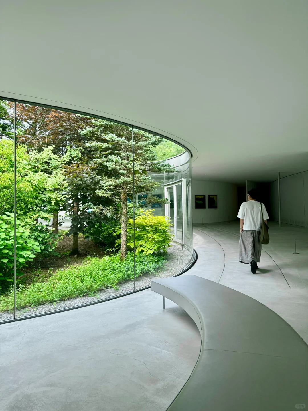 "Flew to Japan 8 Times in a Year Just for These Stunning Art Museums 🇯🇵"