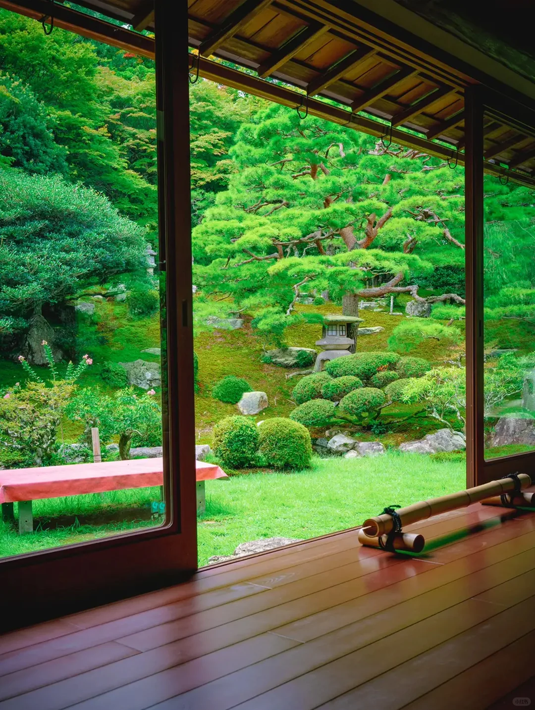 Reverse Travel is Awesome! A Hidden Gem Day Trip to Lake Biwa Near Osaka