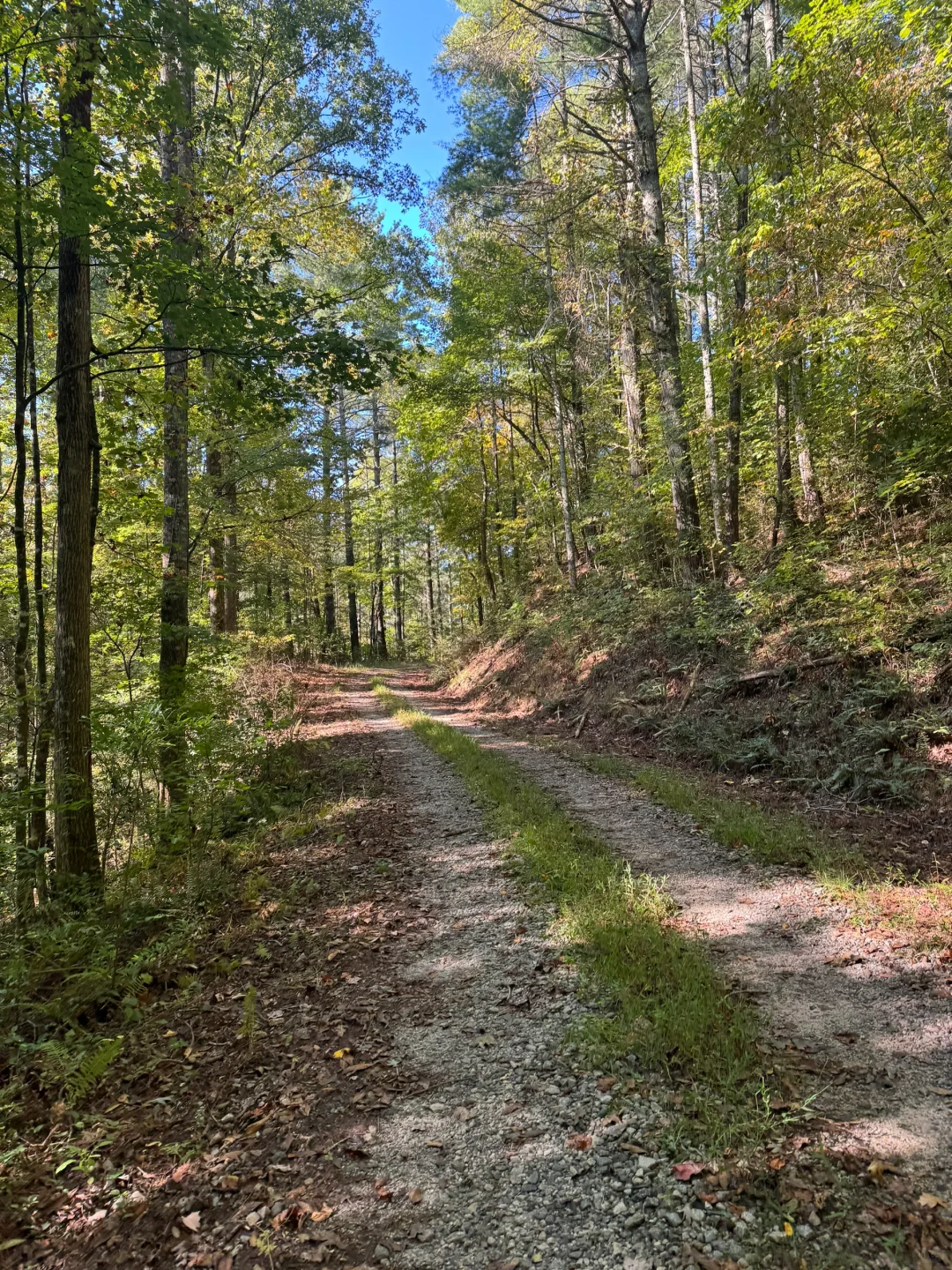 Fun and Adventure in Atlanta - The Trail Experience