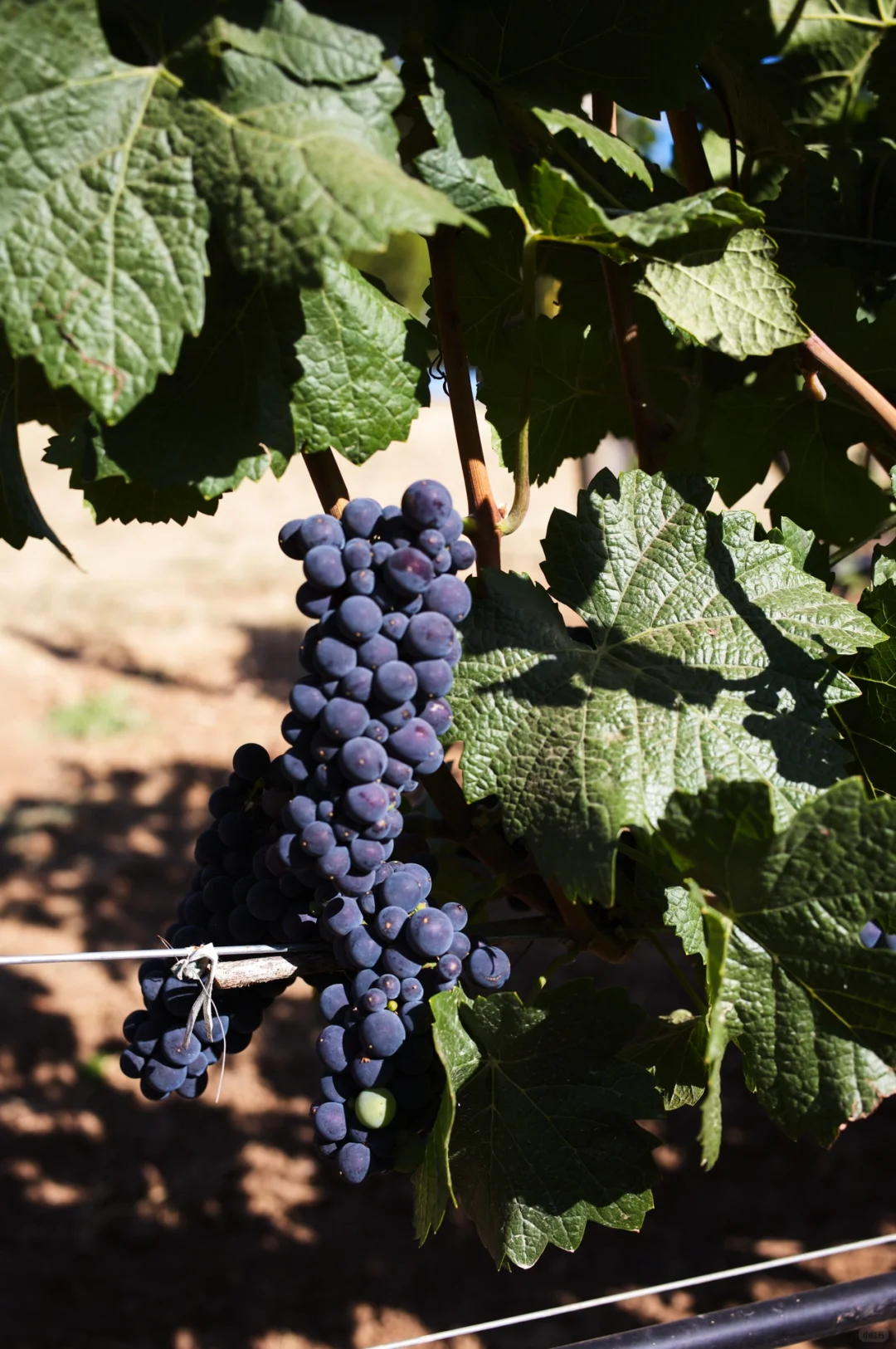 "Hidden Gems in Portland: Off-the-Beaten-Path Spots You Need to Visit"