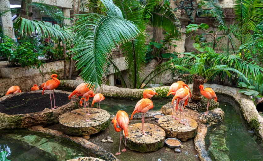 **Top Indoor Activities in Dallas for the Whole Family – Have a Great Weekend!**