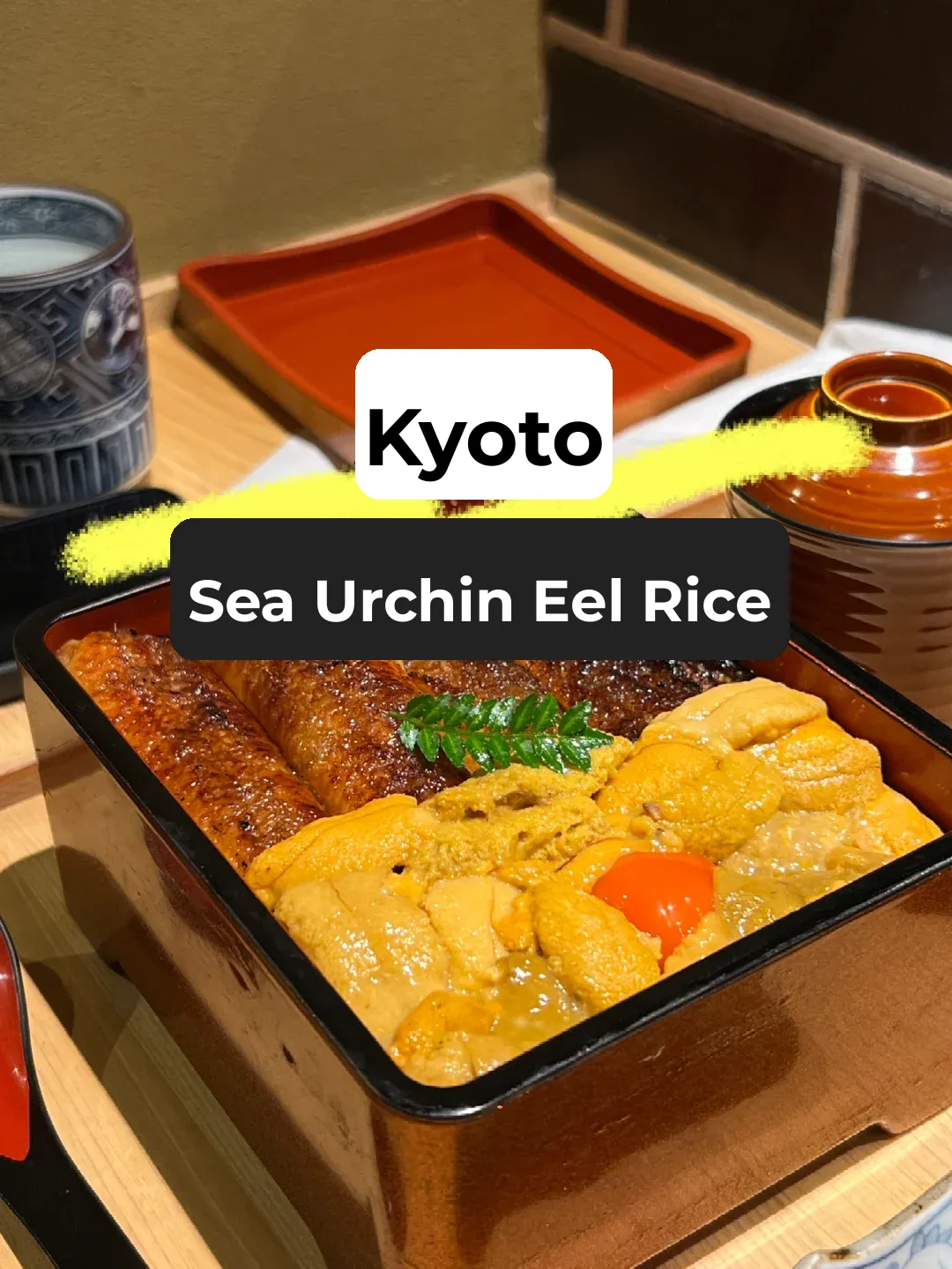 🇯🇵 Had the Life-Changing Unagi Don in Kyoto!!