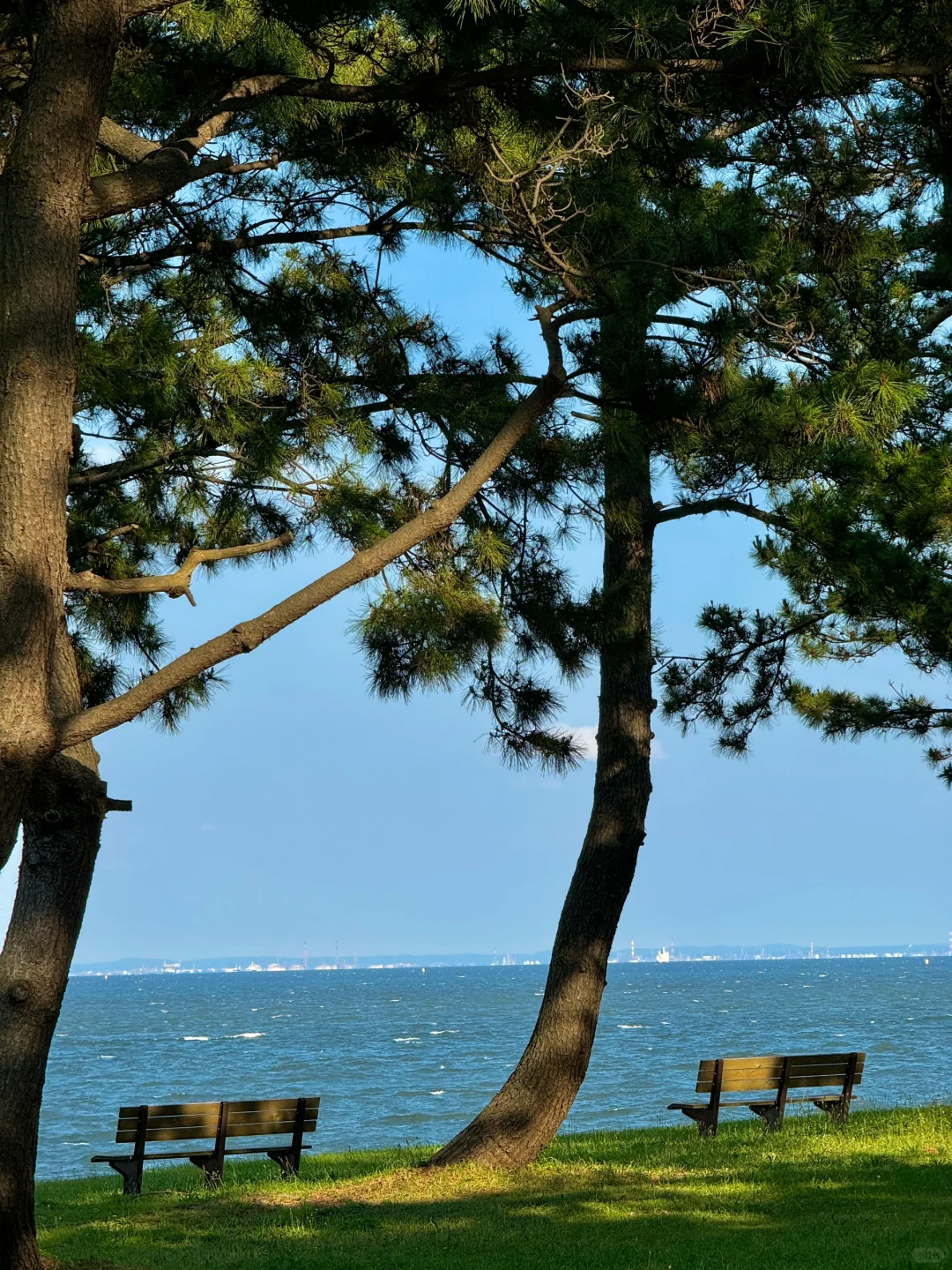 Disney-View Seaside Park 🤩