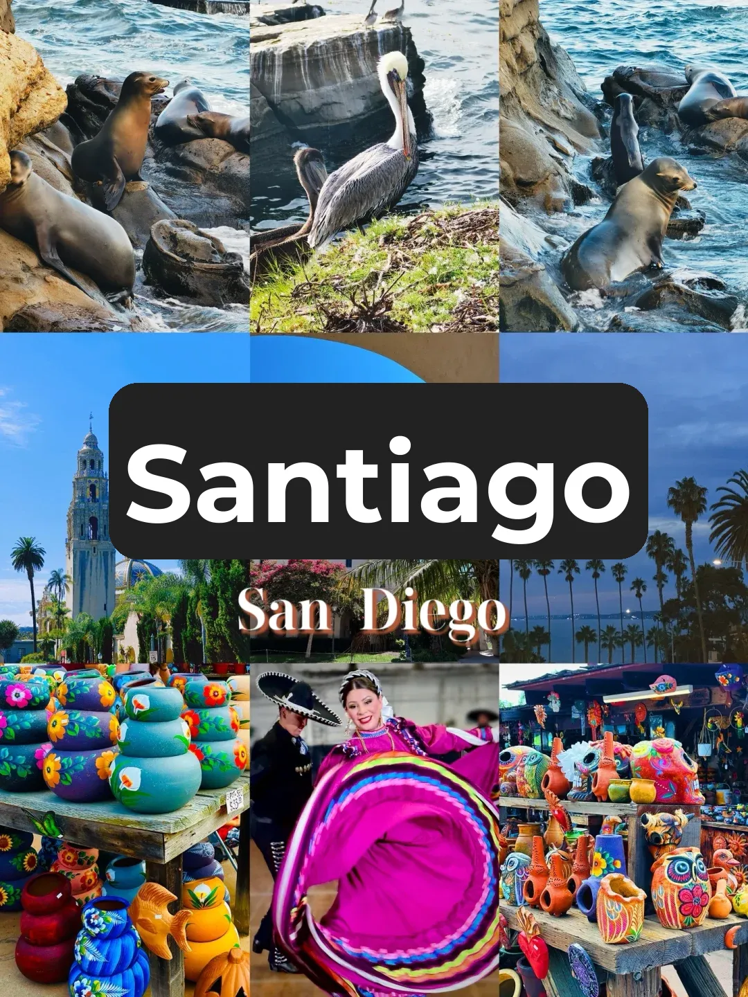 🇺🇸 Regretting Not Visiting San Diego Sooner (Self-Drive Day Trip Edition 🦭