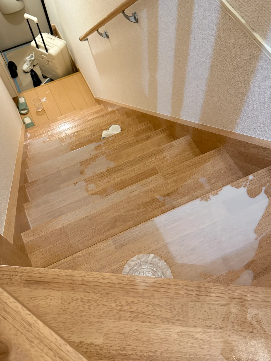 Meltdown Moments of a Japan Expat