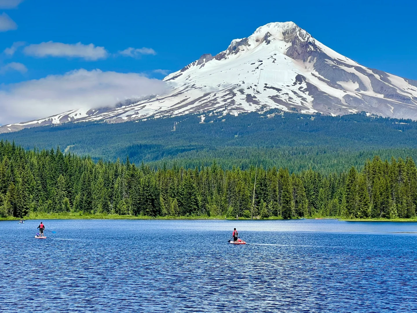 "Stunning Portland Experience"