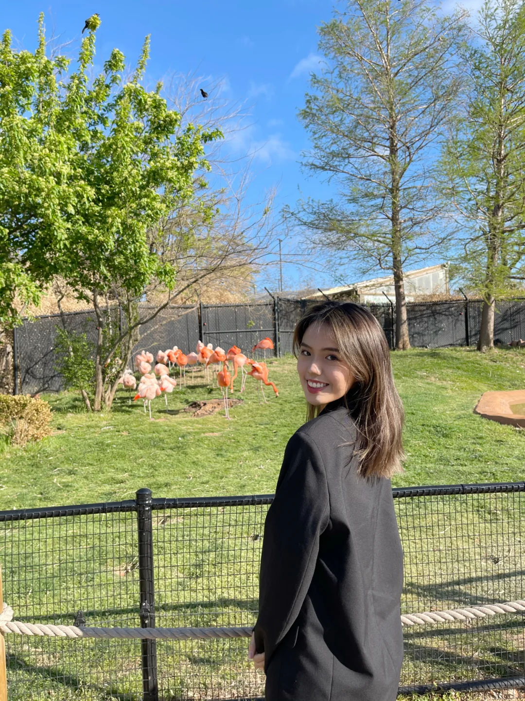 "Oklahoma City Travel Guide: Must-See Attractions and Tips"