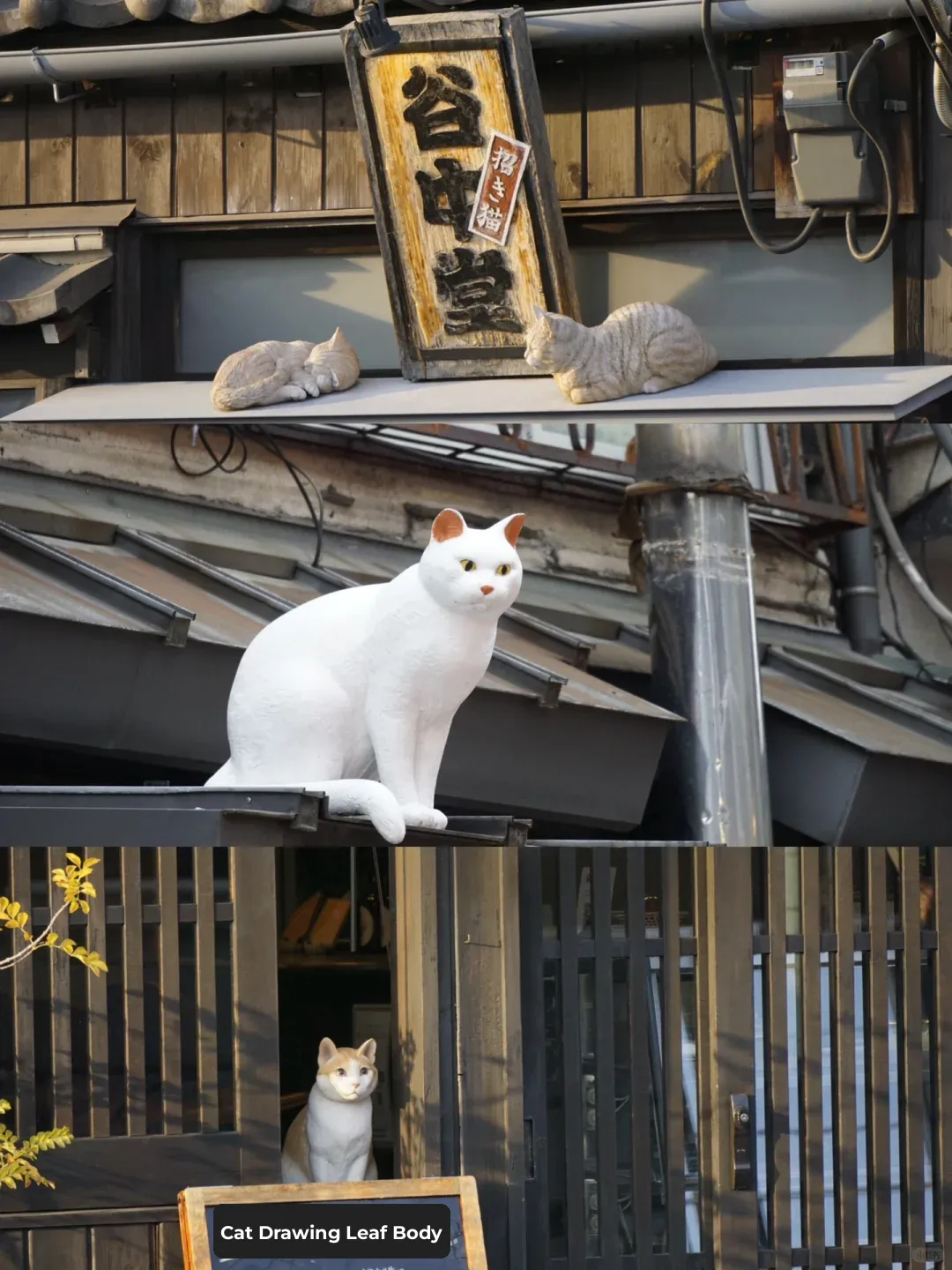 🐱 Tokyo's Yanaka, Shibamata, and Nezu: The Cat Lover's Street (with a Walking Map)