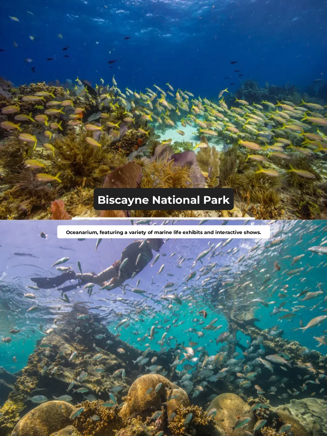 🌊 Top 10 Must-Visit Spots in Miami (Part 2)