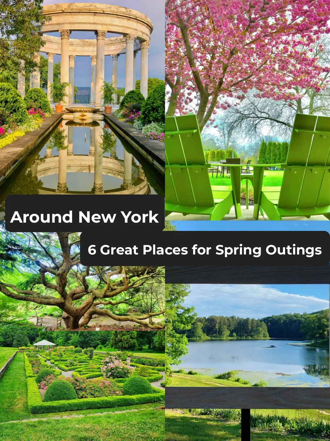 NYC Vicinity 💐 Embracing Spring in a Stunning Park 😍