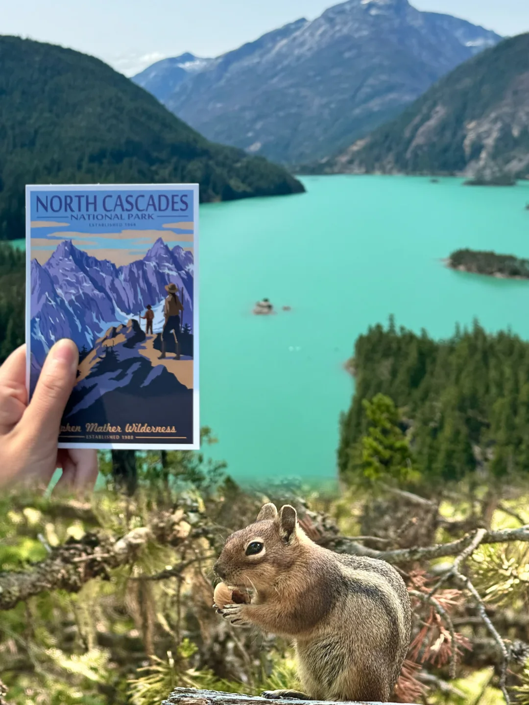 Seattle | North Cascades Unfiltered Edition