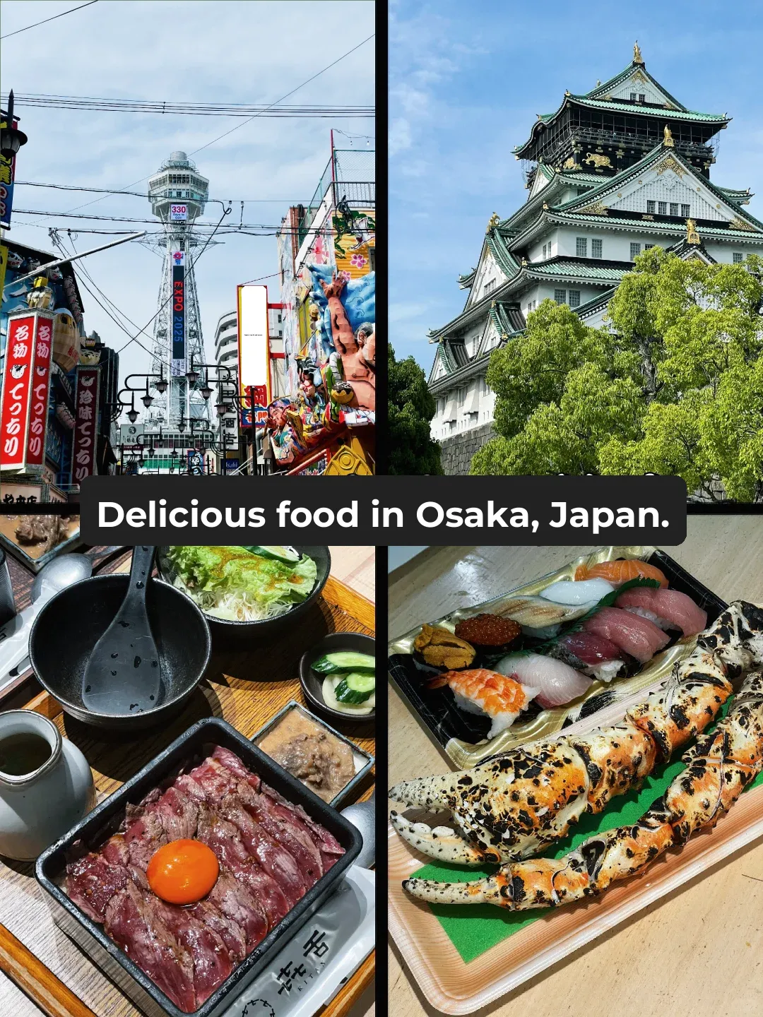 Budget Foodie Adventure in Osaka 🇲🇾🇯🇵 Fellow Backpackers, Check This Out!