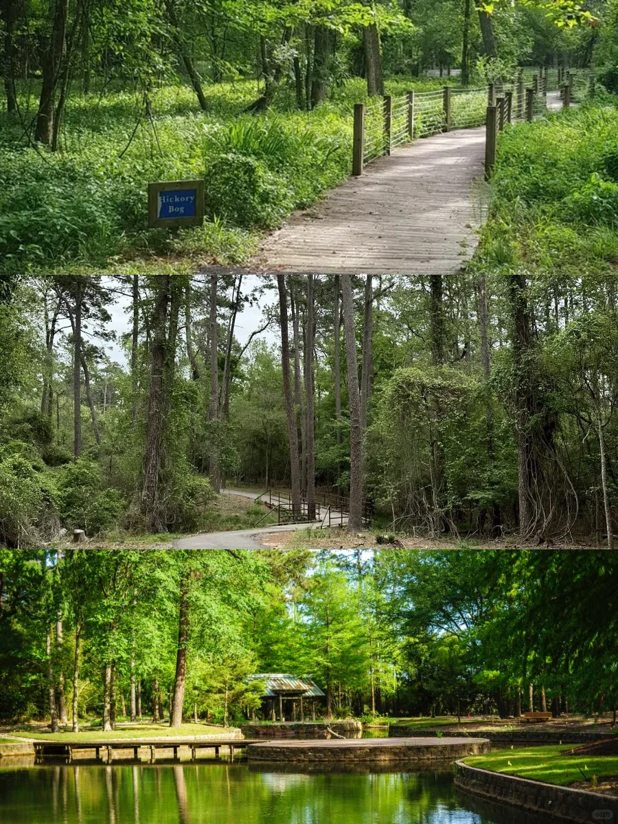 "Top 8 Hiking Trails in Houston for a Weekend Escape from the City 🌿"