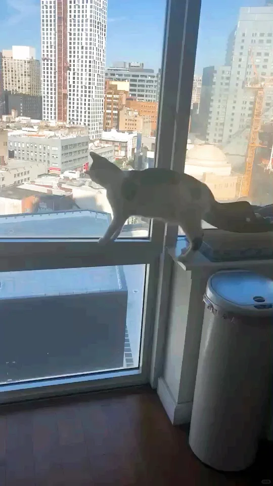 【Has the Pandemic Passed Where You Are?】