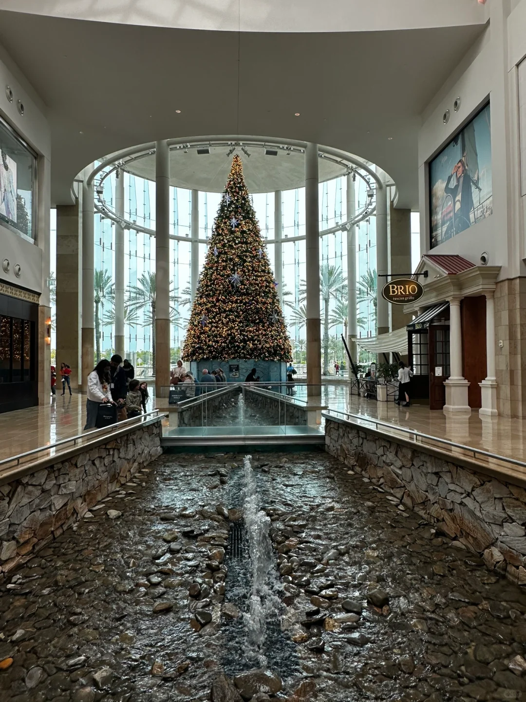 Orlando Christmas Shopping and Food Adventure