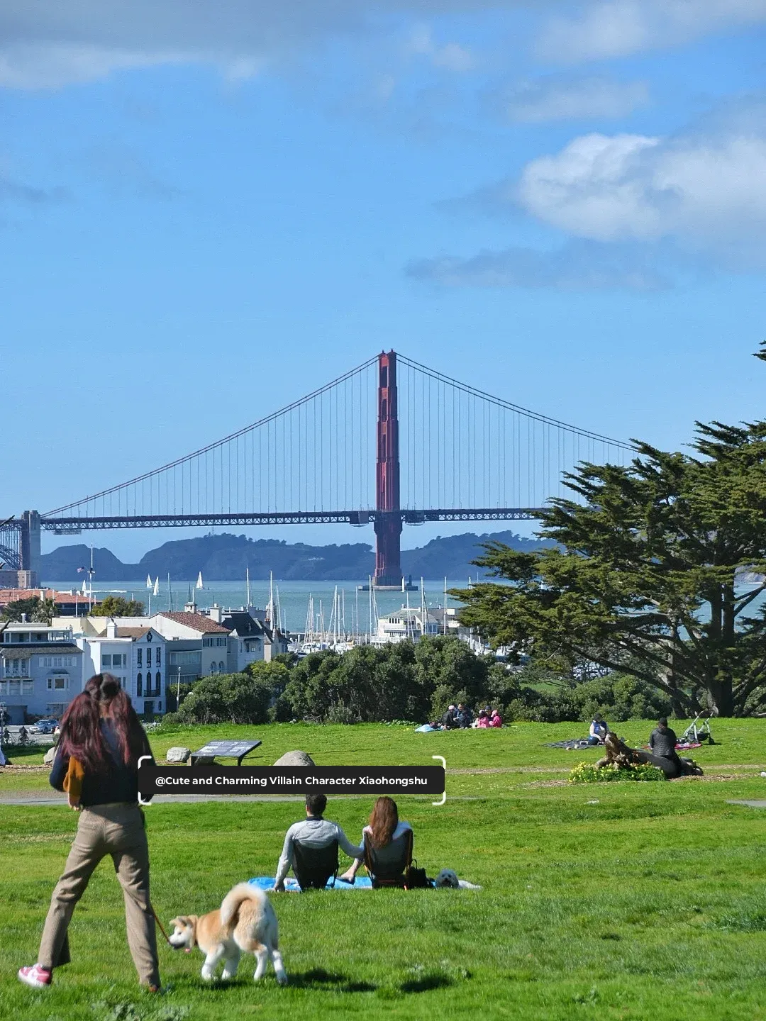 San Francisco is the perfect spot for dog walks 🧡 and picnics 🌼💕💓🐶