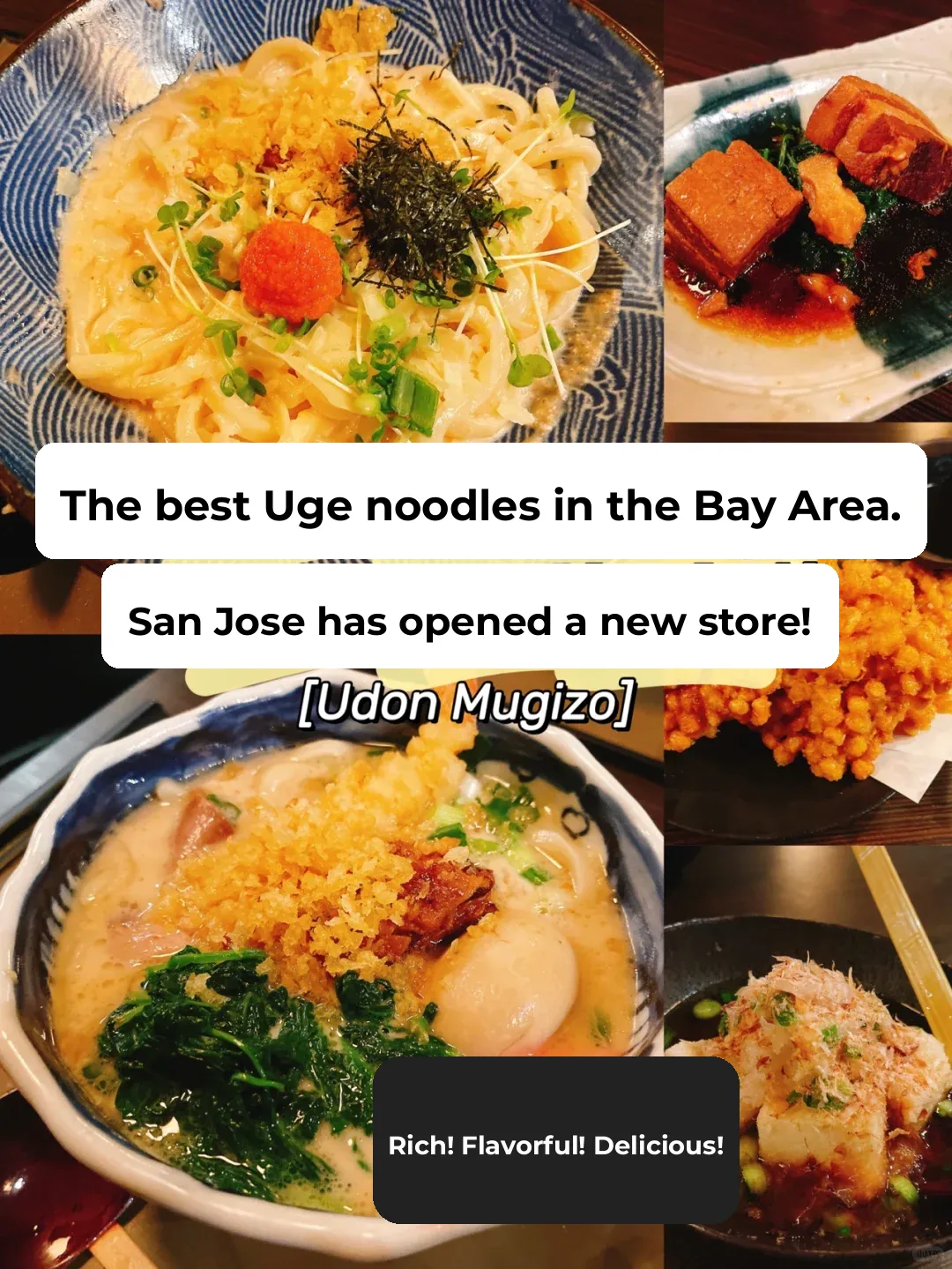 New Bay Area Spot｜San Jose Welcomes the Best Udon Noodle Shop!