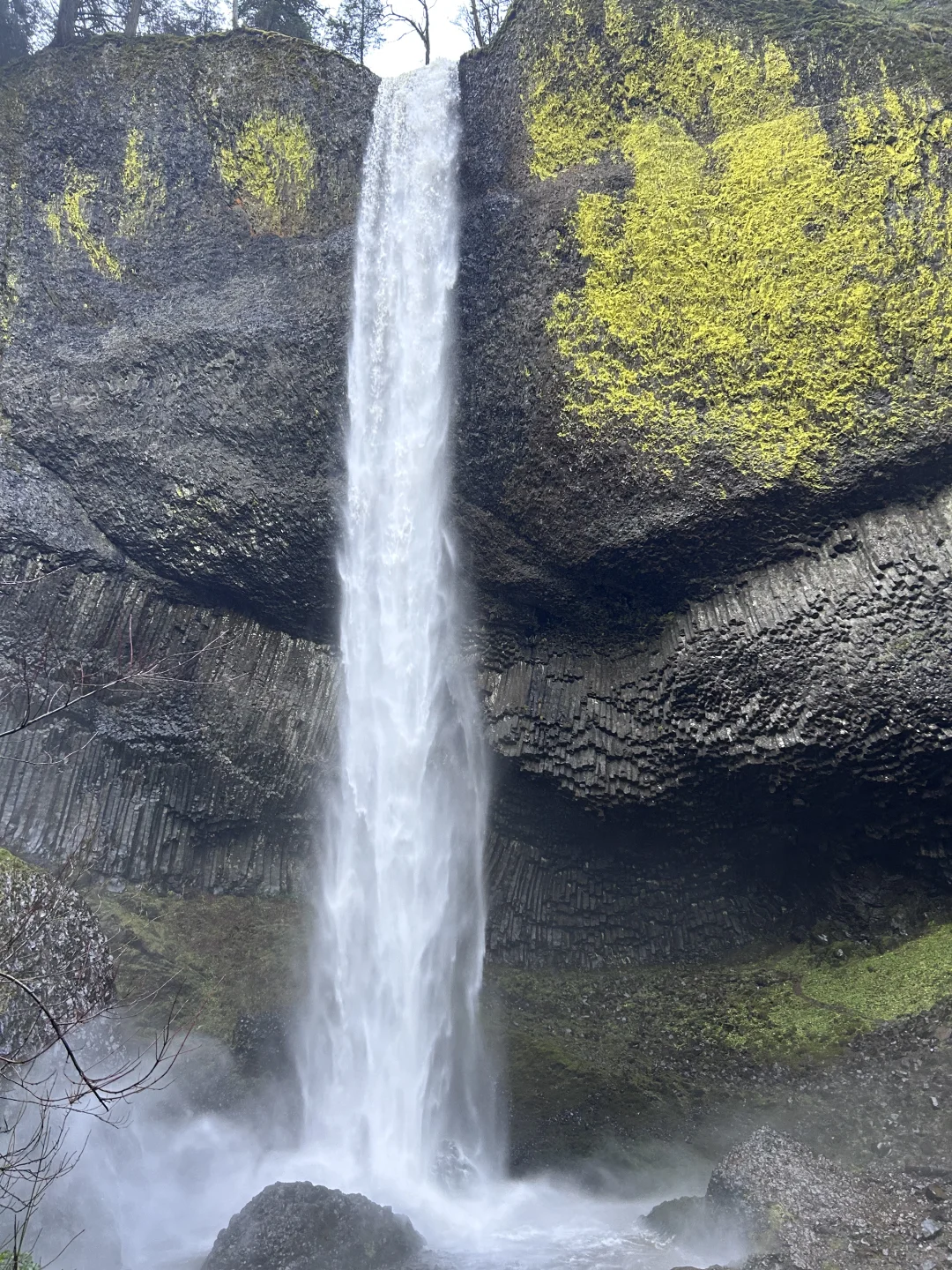 "Solo Adventure in Portland: A Car-Free Travelogue"