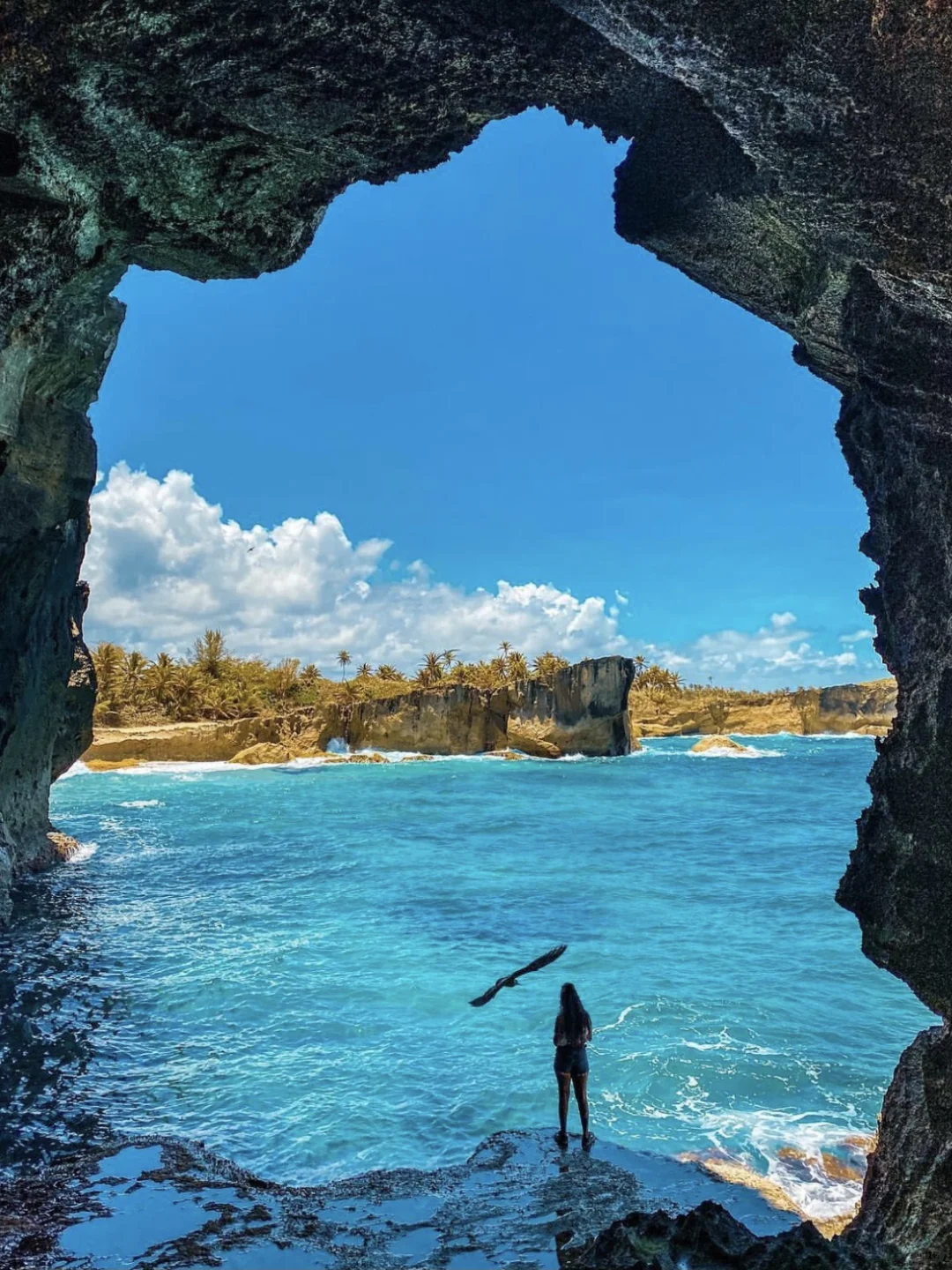 Just Back from Puerto Rico—Don’t Say I Didn’t Tell You!