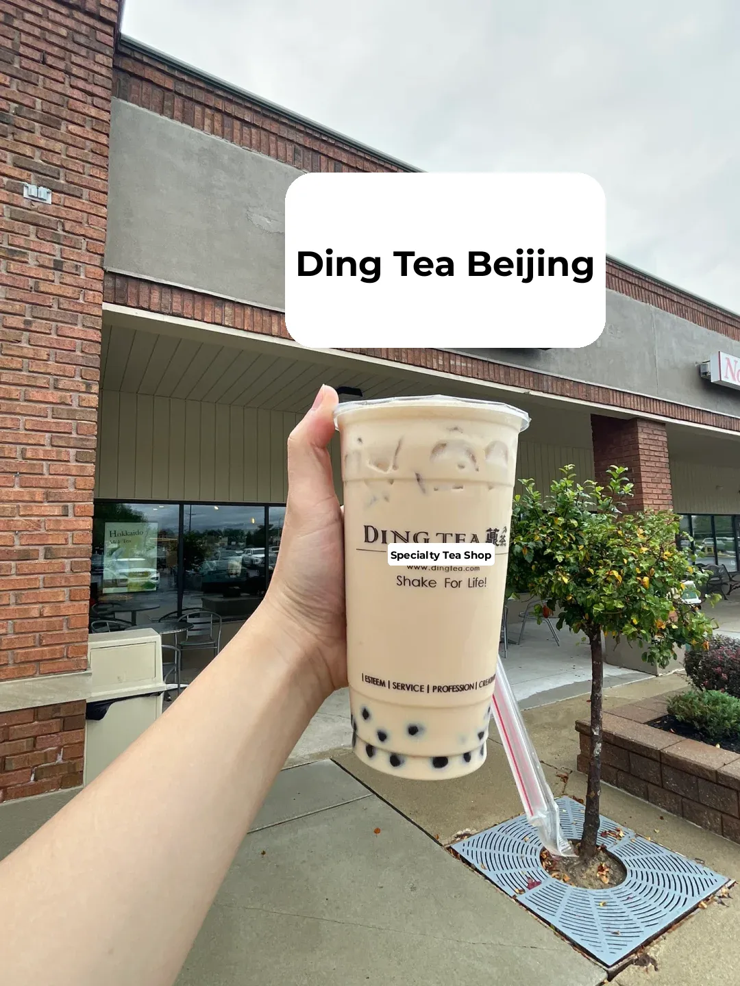Detroit | My First Bubble Tea Experience in the U.S. - Ding Tea