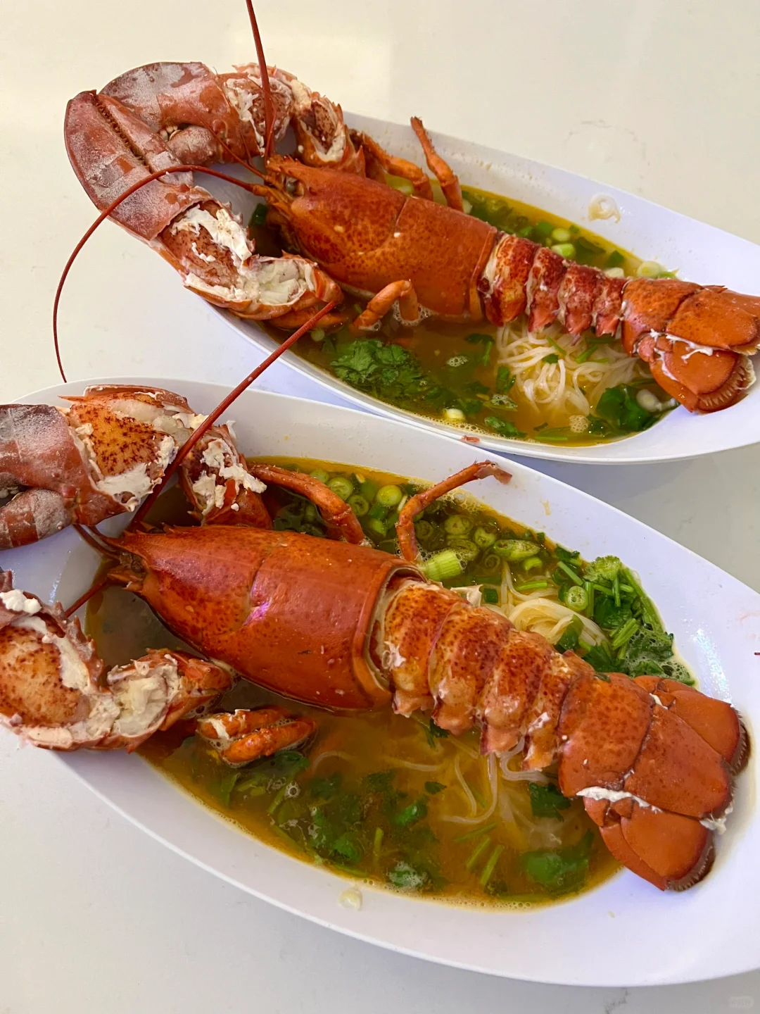 🇺🇸 Washington DC Food Recommendation: Lobster Pho