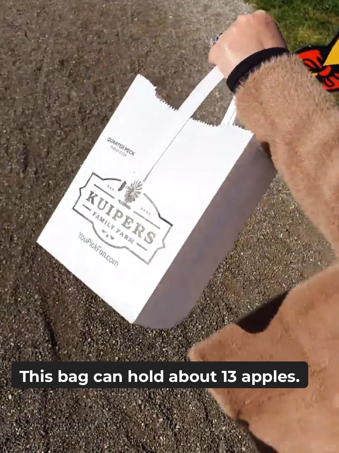 Fall Apple Picking Part 1 - Buying Tickets and Entering the Orchard