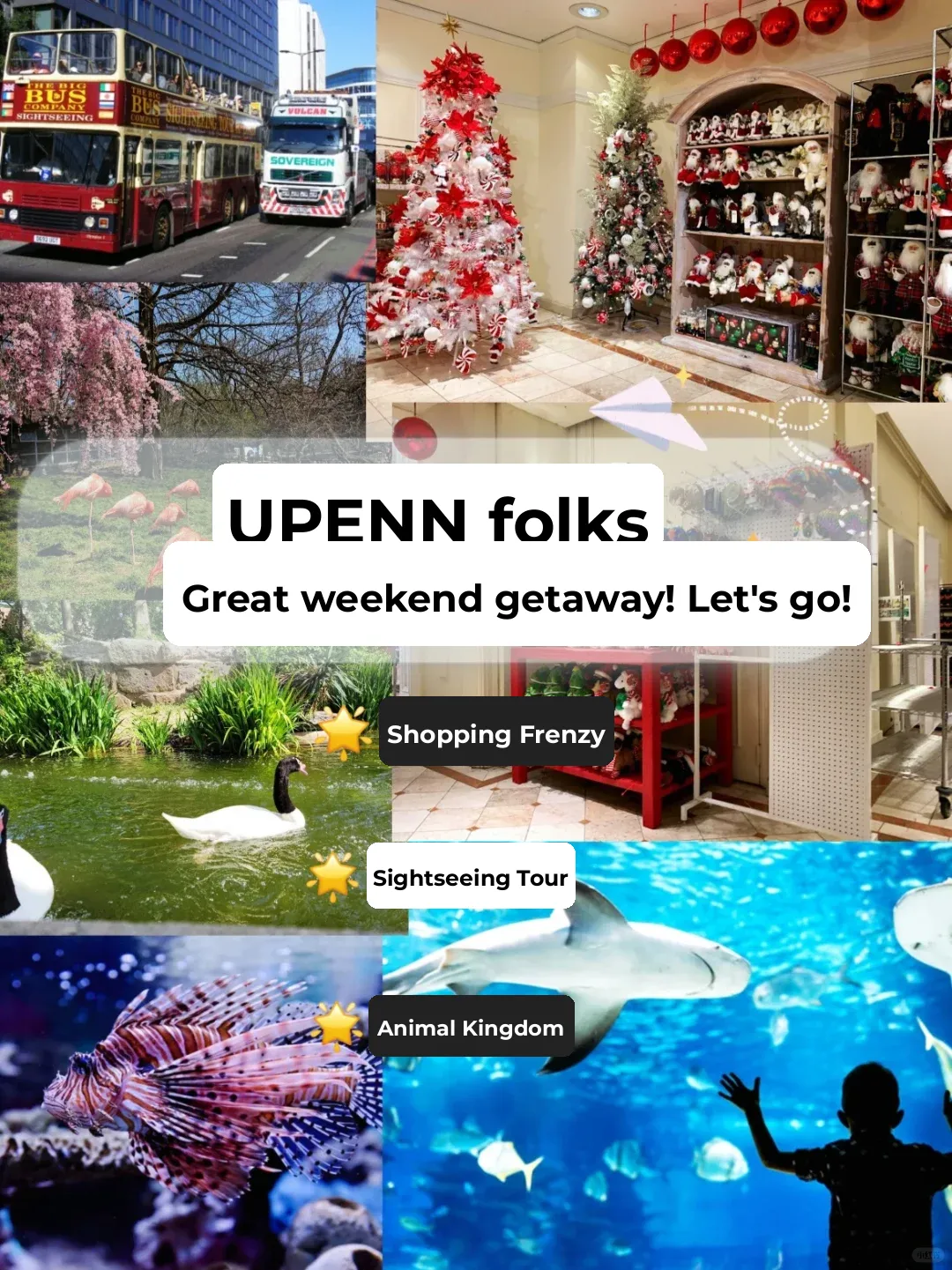 Attention! Best Weekend Spots for UPenn International Students