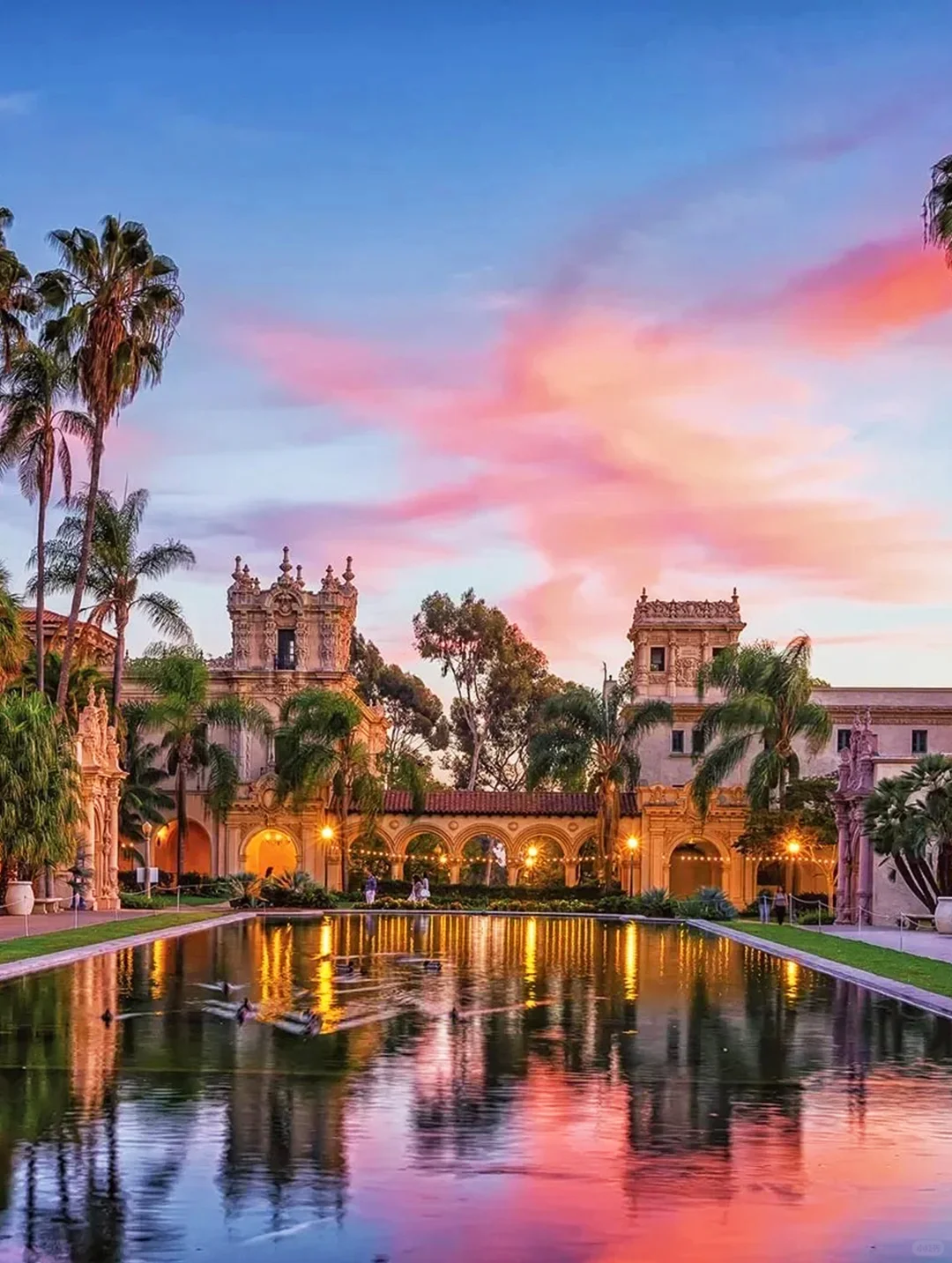 Los Angeles to San Diego Private Car Rental 💲480/Day | Must-Visit List