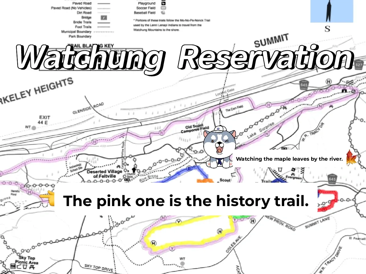 NJ Adventure Series | Weekend Hiking Spots Part 2