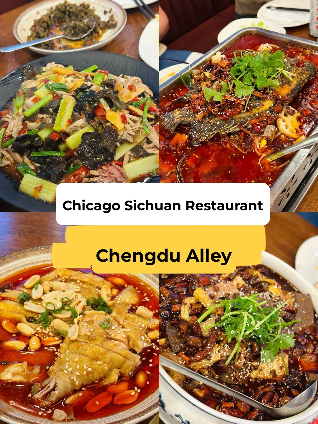 Exploring a Chicago Sichuan Eatery | Chengdu Alley | They Even Have Grilled Fish 🐟