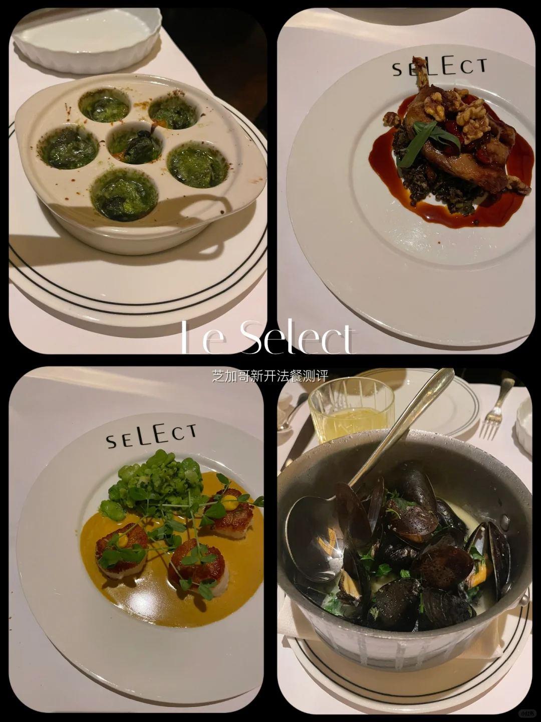 Restaurant Review | Taste Test of Chicago's New French Bistro, Le Select