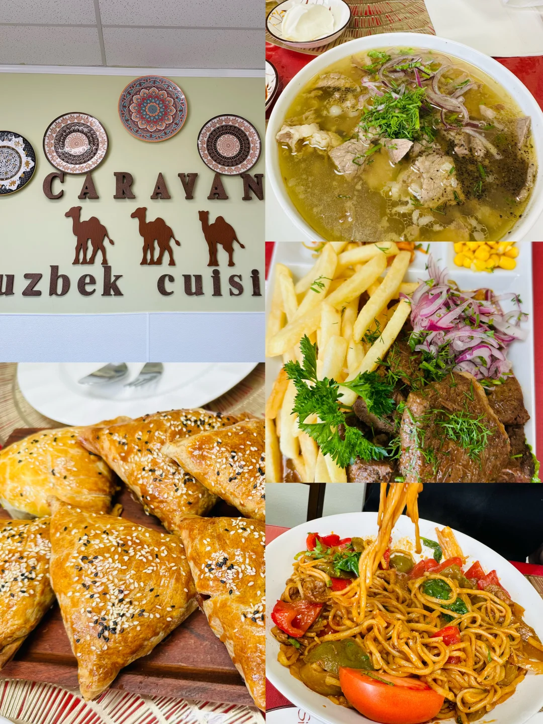 Chicago's West Suburbs | Another Meal Conquered by Central Asian Cuisine 🇺🇿😅