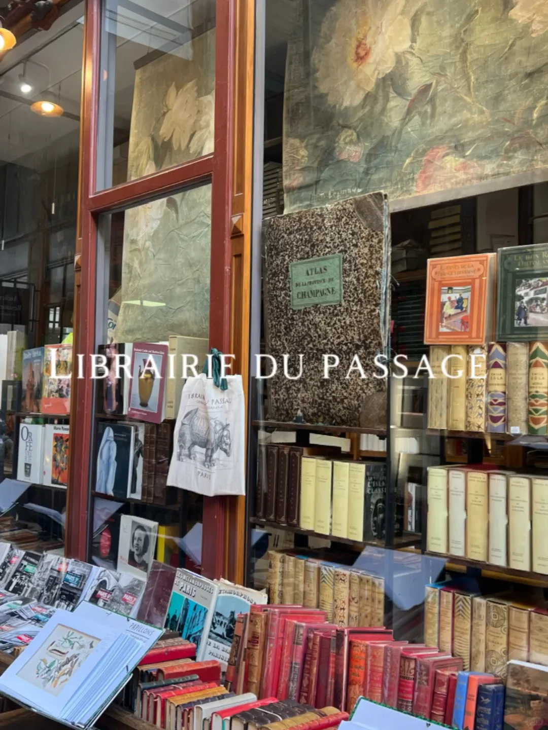 Treasure Trove Bookstore 📚📖 Paris' Librairie du Passage