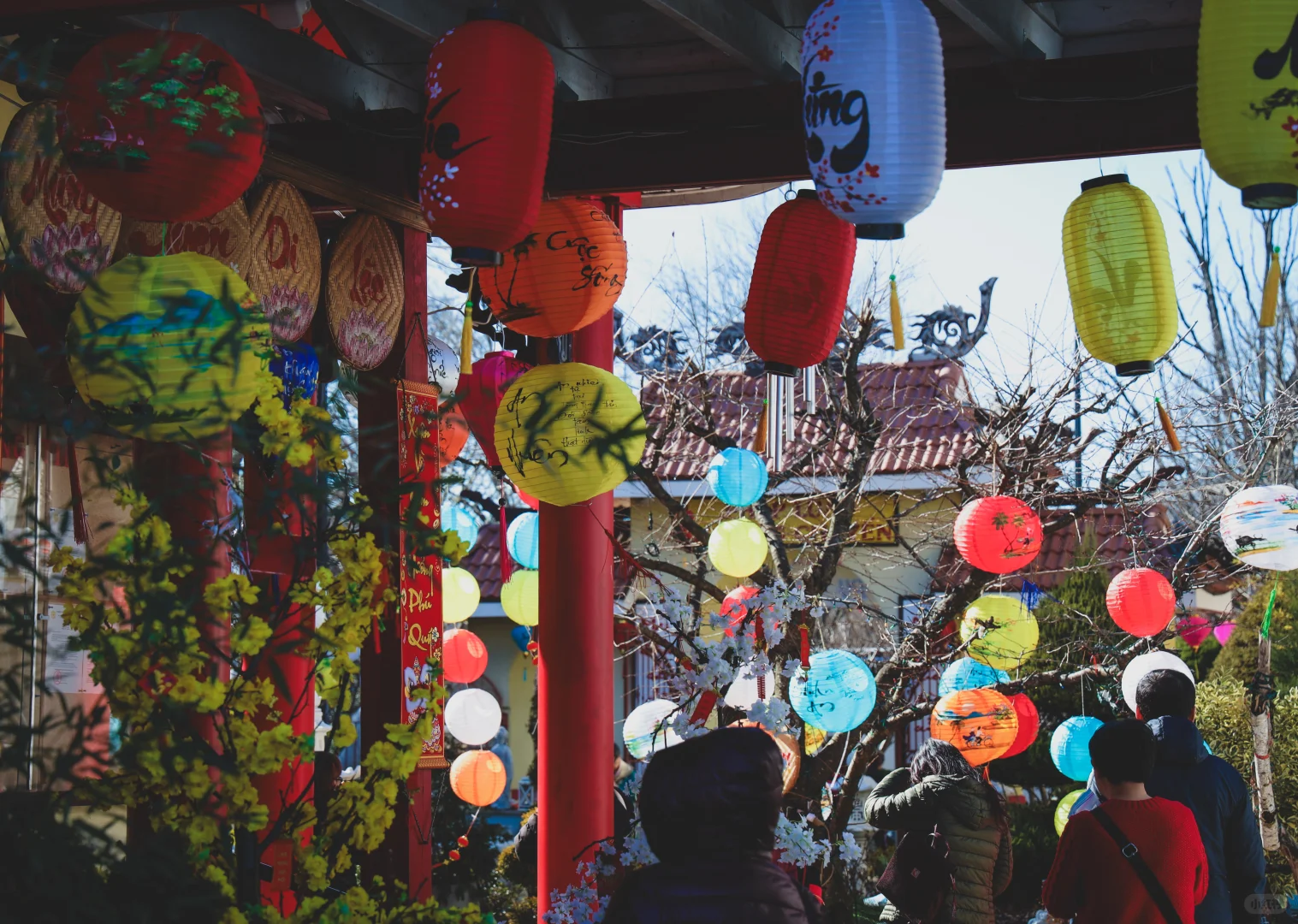 DC Lunar New Year｜Bidding Farewell to the Old, Welcoming the New